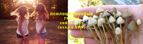 не бодяженный Балахна