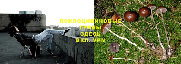 прущая мука Баксан