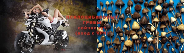 прущая мука Баксан