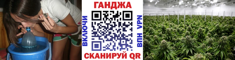 сайты даркнета Telegram  Чудово  Марихуана гибрид 